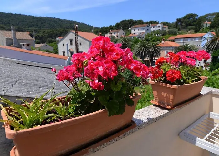 Kobale 1 Veli Lošinj