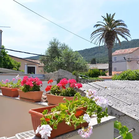 Kobale 1 Veli Lošinj