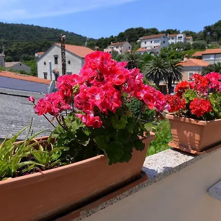 Kobale 1 Veli Lošinj